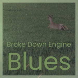 Dengarkan The Sky Is Crying lagu dari Elmore James dengan lirik