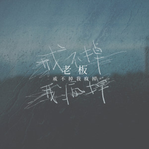 Listen to 戒不掉我疯掉 song with lyrics from 老板