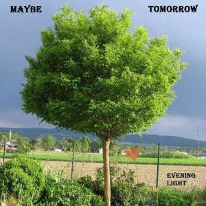 Listen to Song For Lovers song with lyrics from Maybe tomorrow