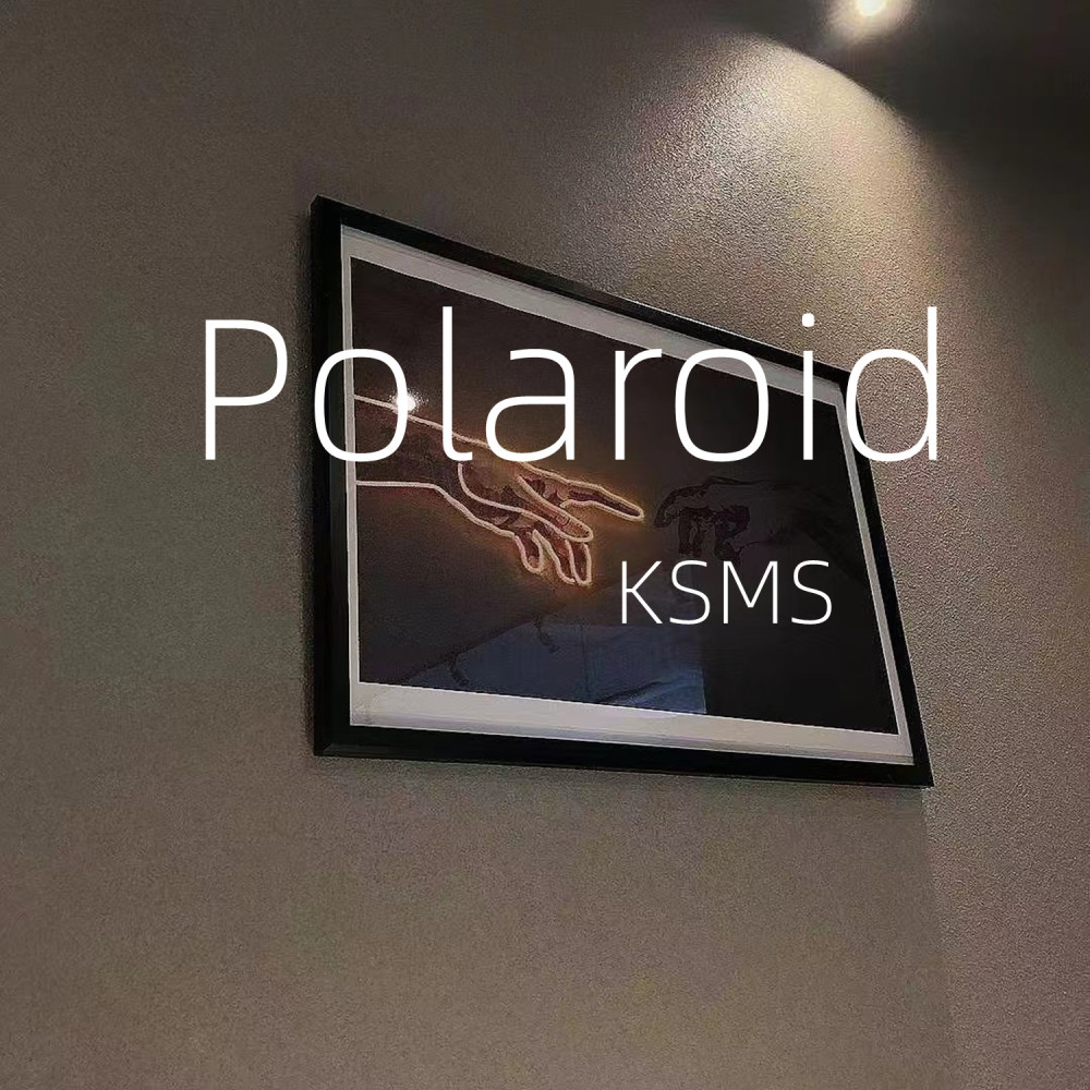 Polaroid