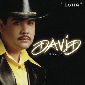 收聽David Olivarez的Hippy Hippy Shake歌詞歌曲