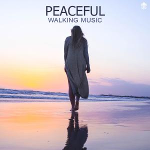 Listen to Dolphin Dub song with lyrics from Shanti