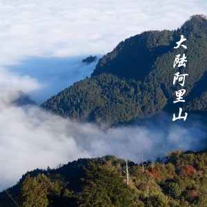 อัลบัม 大陆阿里山 ศิลปิน 常思思