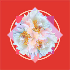 ดาวน์โหลดและฟังเพลง Pineapple พร้อมเนื้อเพลงจาก Onix Price