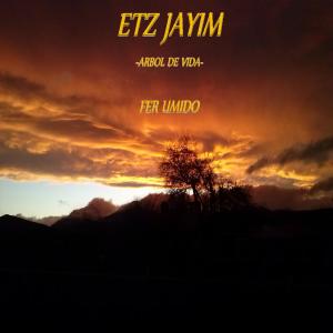 收听Fer Umido的Yo te amé (with Rebe & Pedro Lauquen)歌词歌曲