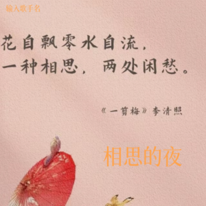 Listen to 相思的夜 (伴奏) song with lyrics from 杨雪儿