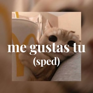 Listen to me gustas tu (sped) song with lyrics from GraffEemcore