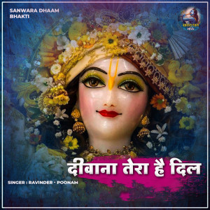 Listen to Deewana Tera Dil Hai song with lyrics from Ravinder