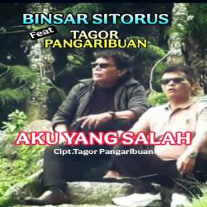 收聽BINSAR SITORUS的AKU YANG SALAH歌詞歌曲