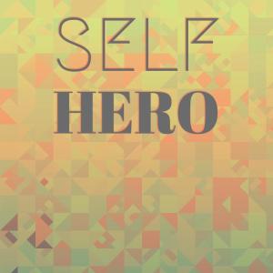 Album Self Hero from Various