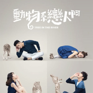 ดาวน์โหลดและฟังเพลง Gui Dao พร้อมเนื้อเพลงจาก Wang Dawen