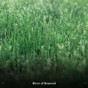 Dengarkan Sleepy Rainy Afternoon lagu dari Sonidos De Truenos y Lluvia dengan lirik