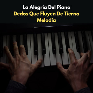 La Alegría Del Piano: Dedos Que Fluyen De Tierna Melodía dari Cafetería Jazz Piano Escalofriante