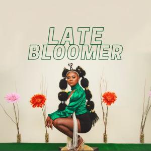 ดาวน์โหลดและฟังเพลง Water (feat. Ro) พร้อมเนื้อเพลงจาก Twigz