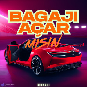 Listen to Bagajı Açar Mısın song with lyrics from Mokali
