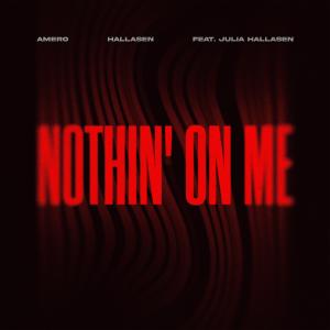 Amero的專輯Nothin' on Me (feat. Julia Hallasen)