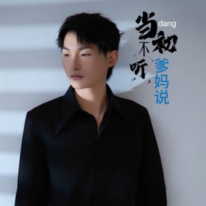 Listen to 当初不听爹妈说 (完整版) song with lyrics from 陶小天