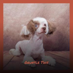 ดาวน์โหลดและฟังเพลง Think Theirselves พร้อมเนื้อเพลงจาก Paal Cani