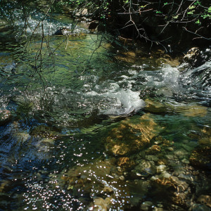 อัลบัม Serene Relaxation: Water-Inspired Binaural Sound Therapy ศิลปิน Binaural State