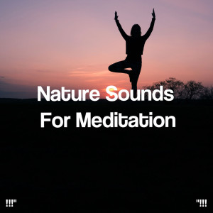 !!!" Nature Sounds For Meditation "!!!