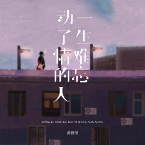 Album 动了情的人一生难忘 from 黄静美