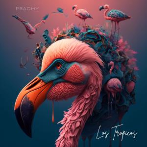 收聽Peachy的Dreaming歌詞歌曲