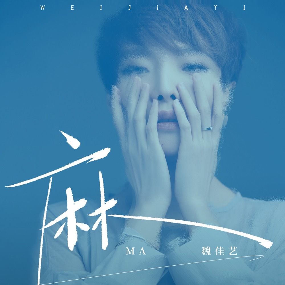 麻 (DJ默涵版伴奏)