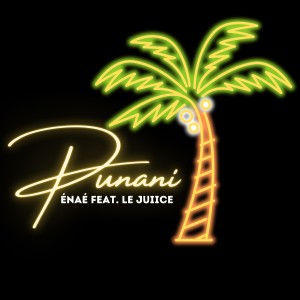 Album PUNANI (Explicit) from ÉNAÉ