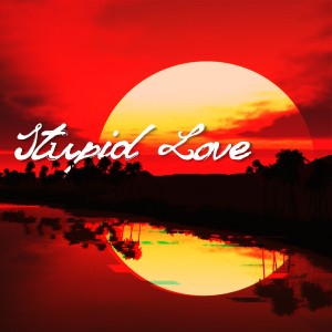Album Stupid Love from Follow The Sun Records