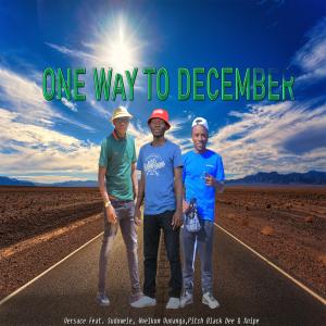 Album One Way To December (feat. Suduwele, Wvelkom Vunanga, Pitch Black Dee & Xnipe) from Versace