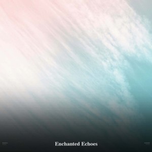 White Noise的专辑!!!!" Enchanted Echoes "!!!!