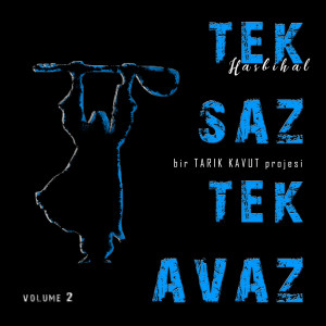 收聽Tek Saz Tek Avaz的Gel Seninle Ahd-I Iman Edelim歌詞歌曲