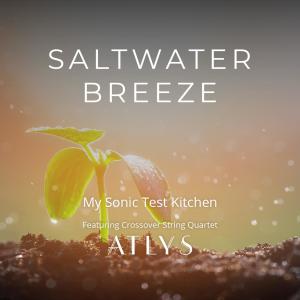 Atlys的專輯Saltwater Breeze (feat. ATLYS)