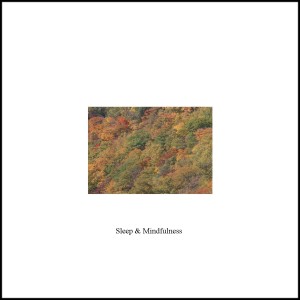 收聽Mindfulness Music Laboratory的Linden Flower and Relax (其他)歌詞歌曲