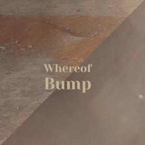 Album Whereof Bump from Various