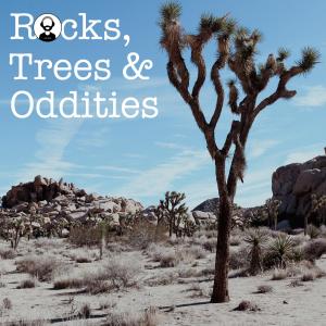Lofi Dad的專輯Rocks, Trees & Oddities