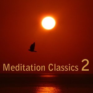 ดาวน์โหลดและฟังเพลง Serenade No.13 in G Major, K.525 "Eine kleine Nachtmusik": II. Romanze: Andante พร้อมเนื้อเพลงจาก Mozart Festival Orchestra