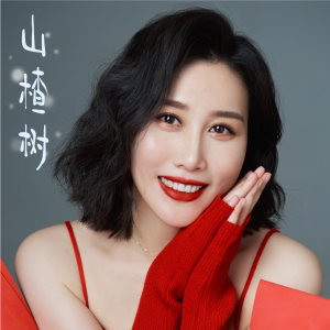 金響的專輯山楂樹（金響版）