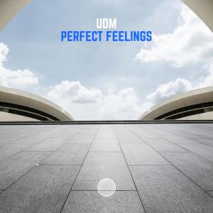 Perfect Feelings dari UDM