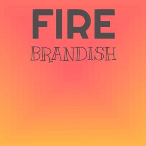 Various Artists的專輯Fire Brandish