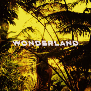 Listen to Wonderland song with lyrics from Sane