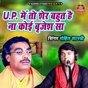 Rohit Shastri的專輯U.p Main To Sher Bahut Hain Na Koi Brijesh Sa