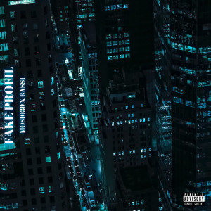 Listen to Fake Profil (Explicit) song with lyrics from Mosi039
