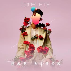 Album Complete R&B Vibes from Various Artists