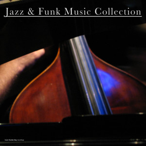 Various Artists的專輯Jazz & Funk Music Collection