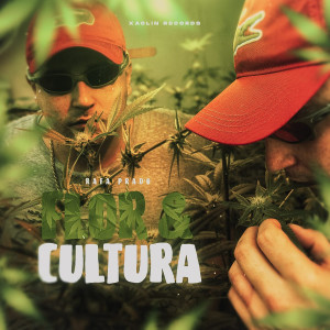 收聽Rafa Prado的Flor e Cultura歌詞歌曲