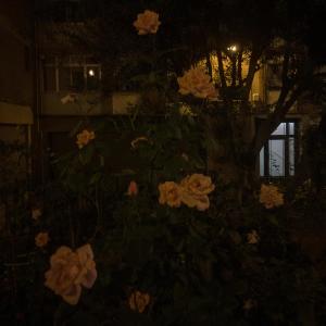 收聽Yugxn的Amor Líquido歌詞歌曲