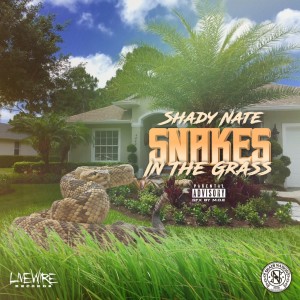 Shady Nate的專輯Snakes in the Grass (Explicit)