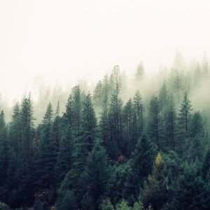 Listen to Nothing Is Impossible song with lyrics from Yoga Music