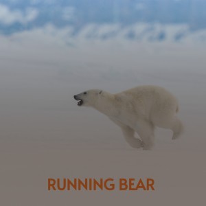 ดาวน์โหลดและฟังเพลง Running Bear พร้อมเนื้อเพลงจาก George Jones